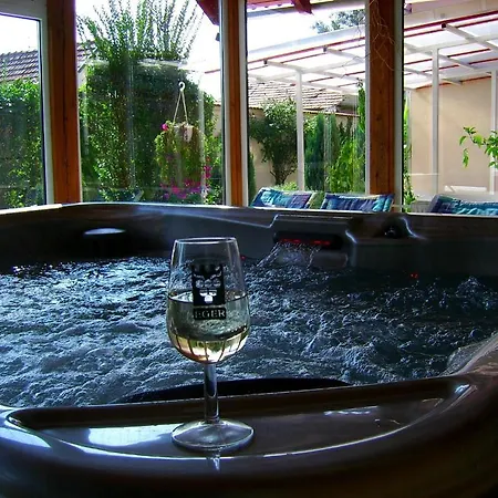 Agria Wellness 3* Еґер
