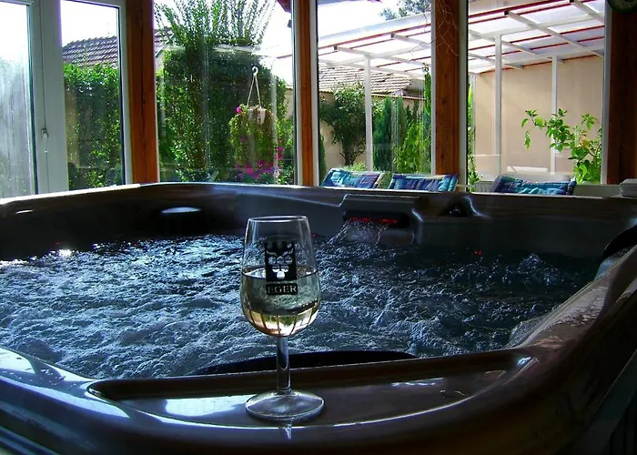 Agria Wellness 3* Eger